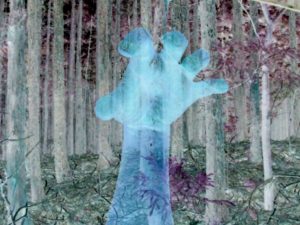 手長足長とはどんな妖怪?各地に伝わる伝説まとめ! おししょみの雑学部屋